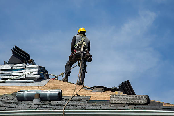 Professional Roofing technician working in Holmes City, MN